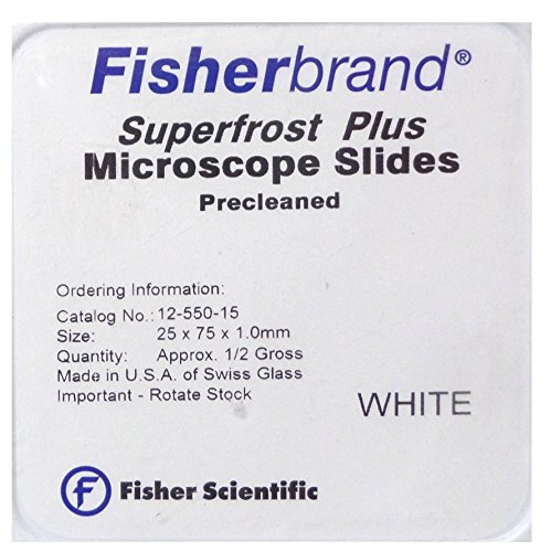 Fisherbrand™ Superfrost™ Plus 正電荷粘附防脫載玻片 Microscope Slides