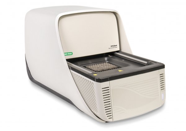 Bio Rad CFX Duet Real-Time PCR 即時定量PCR(2色螢光)