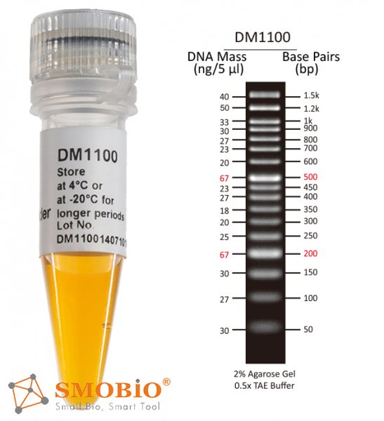 SMOBIO DM1100 50 bp DNA Ladder