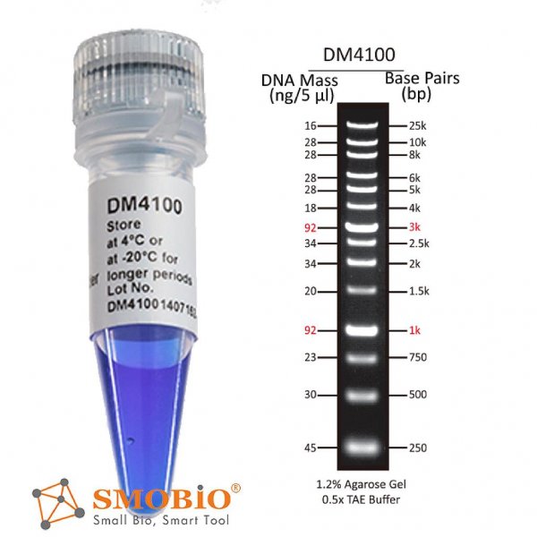 SMOBIO DM4100 (100 bp-25 kb) DNA Ladder
