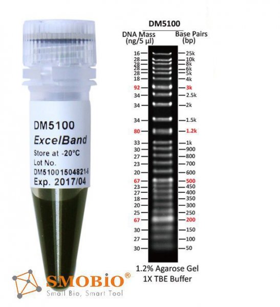 SMOBIO DM5100 (50 bp-25 kb) DNA Ladder