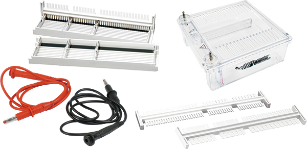 Major Science 迷你水平電泳系統 Gel Electrophoresis