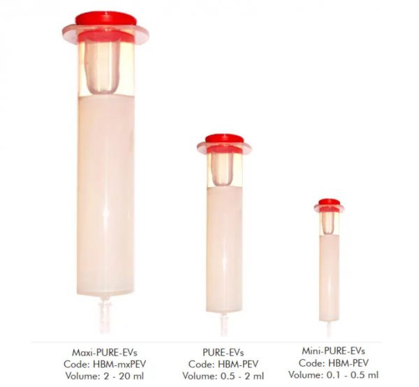 SEC 管柱 Size-exclusion chromatography column