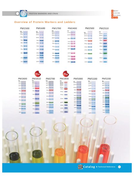 SMOBIO Protein markers產品選擇