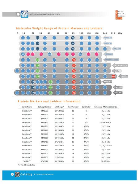 SMOBIO Protein markers產品選擇