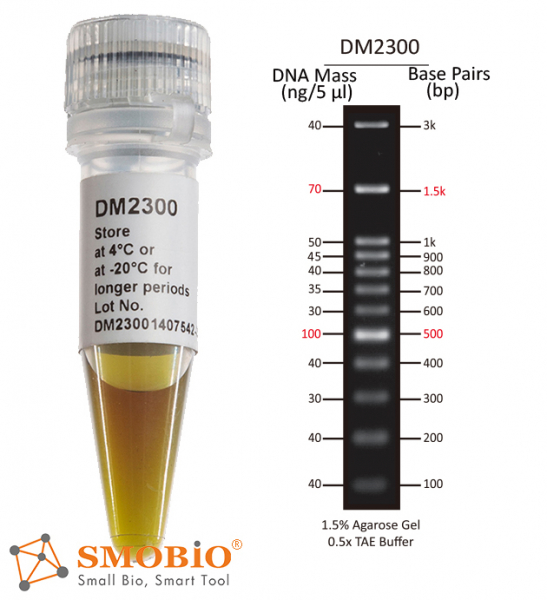 SMOBIO DM2300 100 bp+3K DNA Ladder