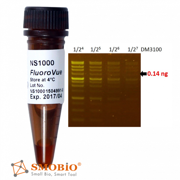 SMOBIO NS1001 Nucleic Acid Gel Stain  (10,000X)內染