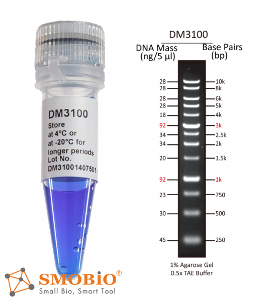 SMOBIO DM3100 1KB (0.25-10 kb) DNA Ladder