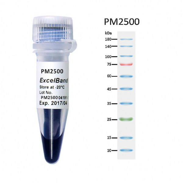 Smobio PM2500 Protein Marker (9-180 kDa), 250 μl x 2 是Thermo (Fermentas) PageRuler完美替代方案
