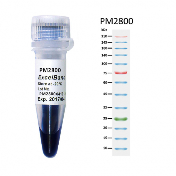 PM2800 Protein Marker (9-310 kDa), 250 μl x 2